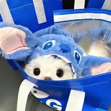 Trần Công avatar
