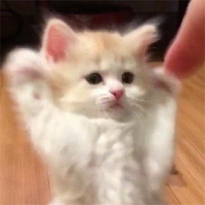 Phạm Thùy avatar
